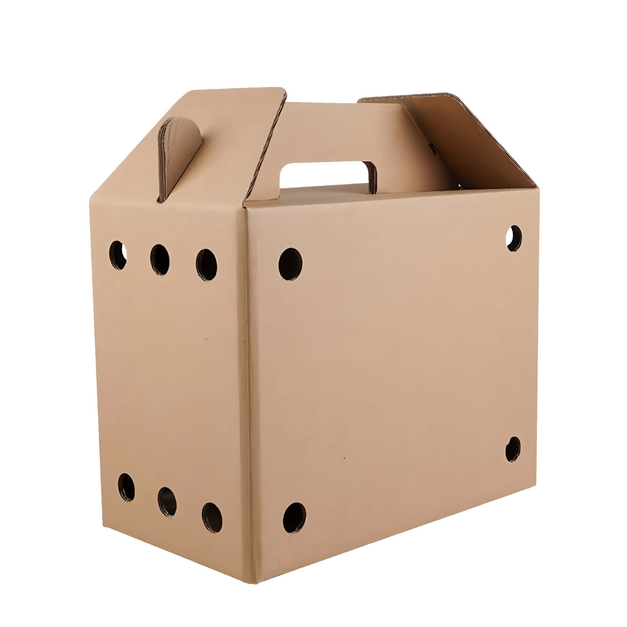 Corrugated Ventilated Box with Handle