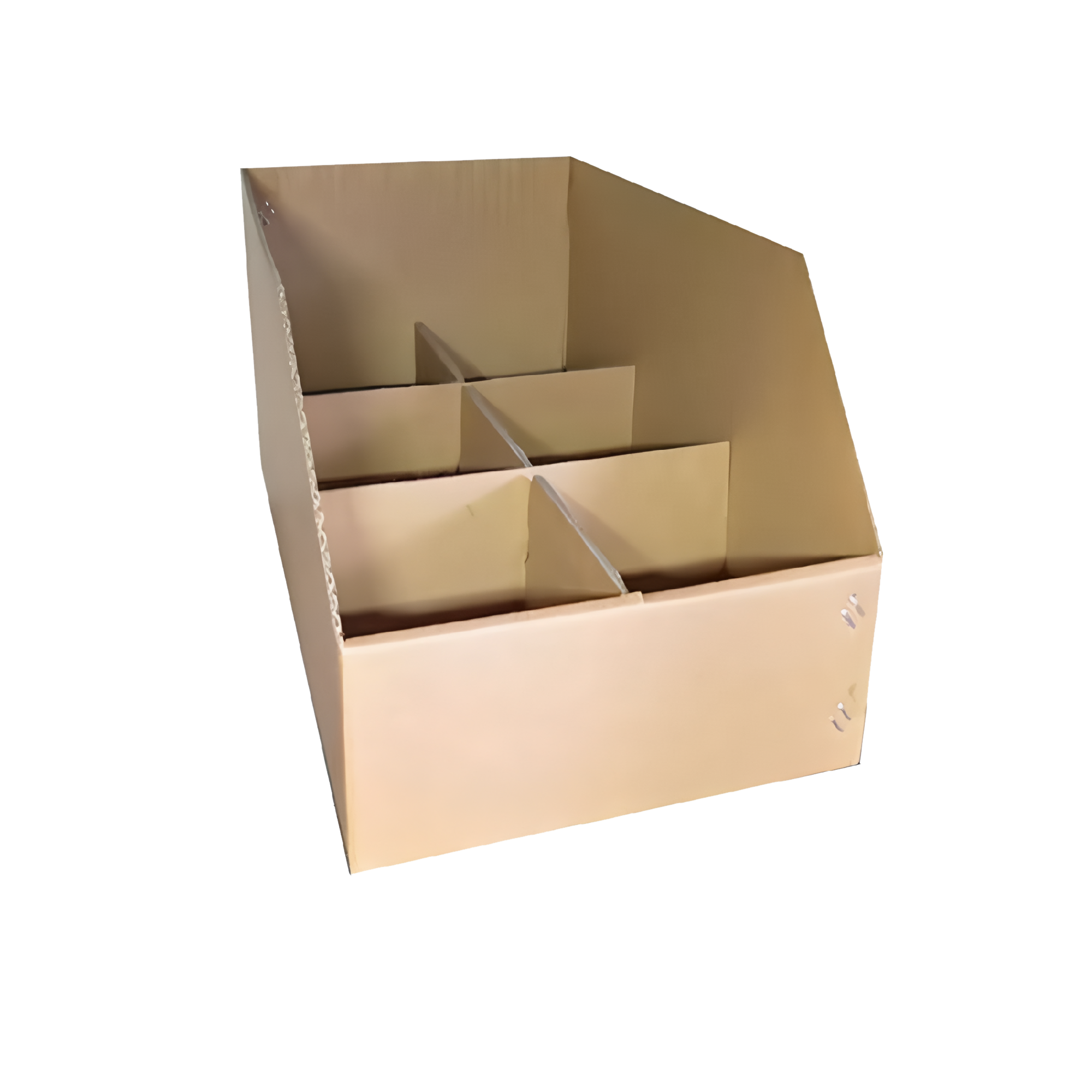 Shelf Ready Packing Box with Inserts